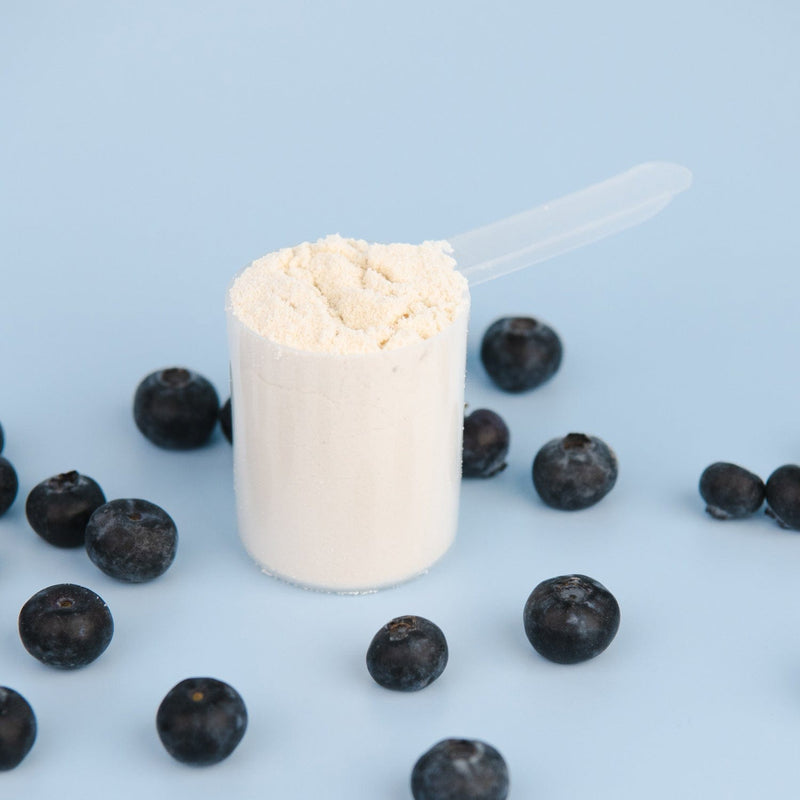 BOWMAR NUTRITION Whey Protein