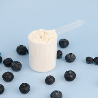 BOWMAR NUTRITION Whey Protein